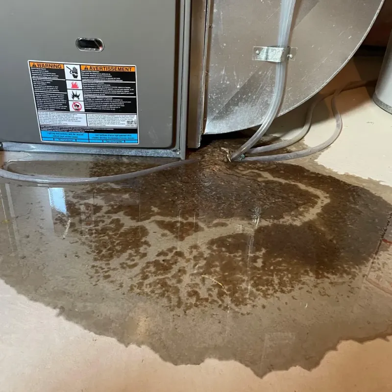 Appliance Leak Cleanup in Fairborn, OH