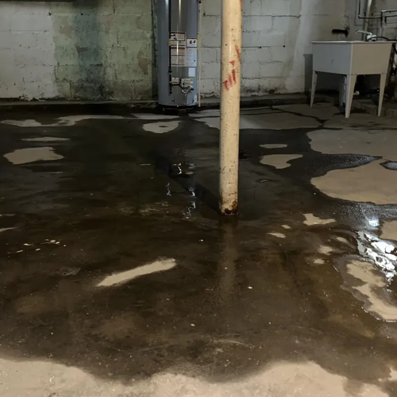 Emergency Water Extraction And Removal in Fairborn, OH